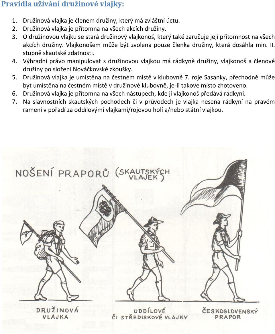 stupně skautské zdatnosti. 4. Výhradní právo manipulovat s družinovou vlajkou má rádkyně družiny, vlajkonoš a členové družiny po složení Nováčkovské zkoušky. 5.