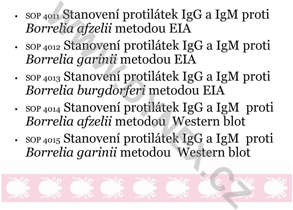 proti Borrelia burgdorferi metodou EIA SOP 4014 Stanovení protilátek IgG a IgM proti Borrelia