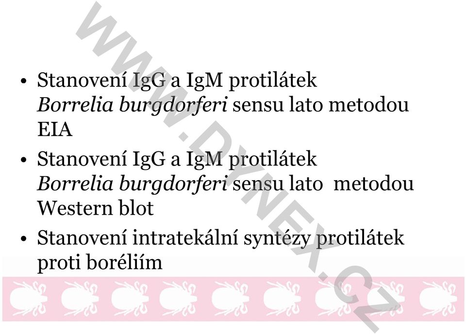 blot Stanovení intratekální syntézy protilátek proti