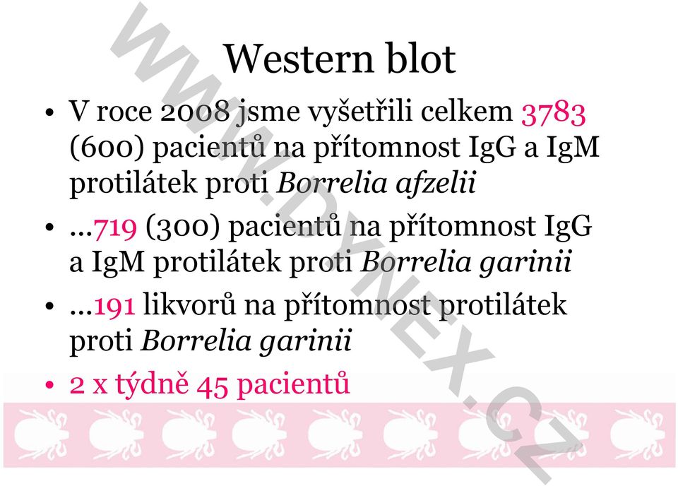 ..719 (300) pacientů na přítomnost IgG a IgM protilátek proti Borrelia