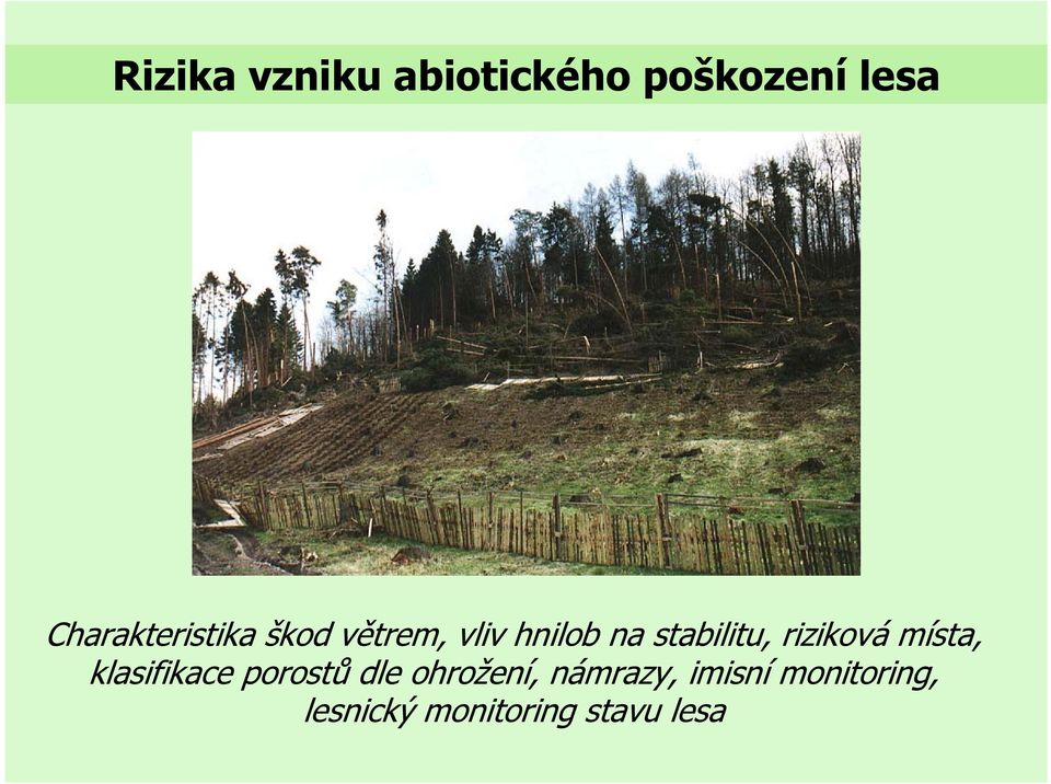 stabilitu, riziková místa, klasifikace porostů dle