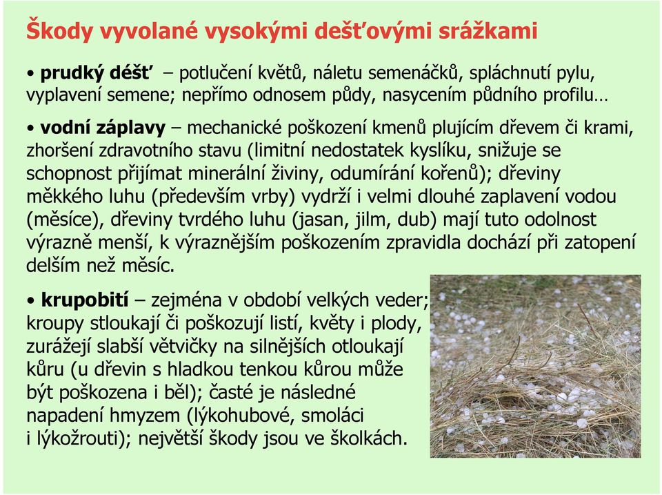 vrby) vydrží i velmi dlouhé zaplavení vodou (měsíce), dřeviny tvrdého luhu (jasan, jilm, dub) mají tuto odolnost výrazně menší, k výraznějším poškozením zpravidla dochází při zatopení delším než
