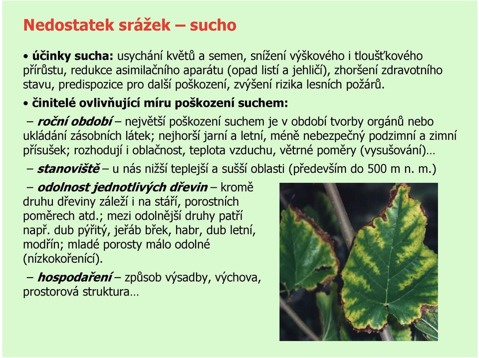činitelé ovlivňující míru poškození suchem: roční období největší poškození suchem je v období tvorby orgánů nebo ukládání zásobních látek; nejhorší jarní a letní, méně nebezpečný podzimní a zimní