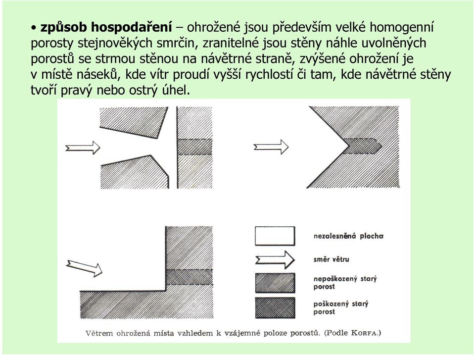strmou stěnou na návětrné straně, zvýšené ohrožení je v místě náseků, kde