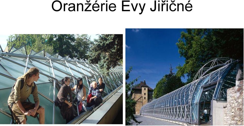 Jiřičné