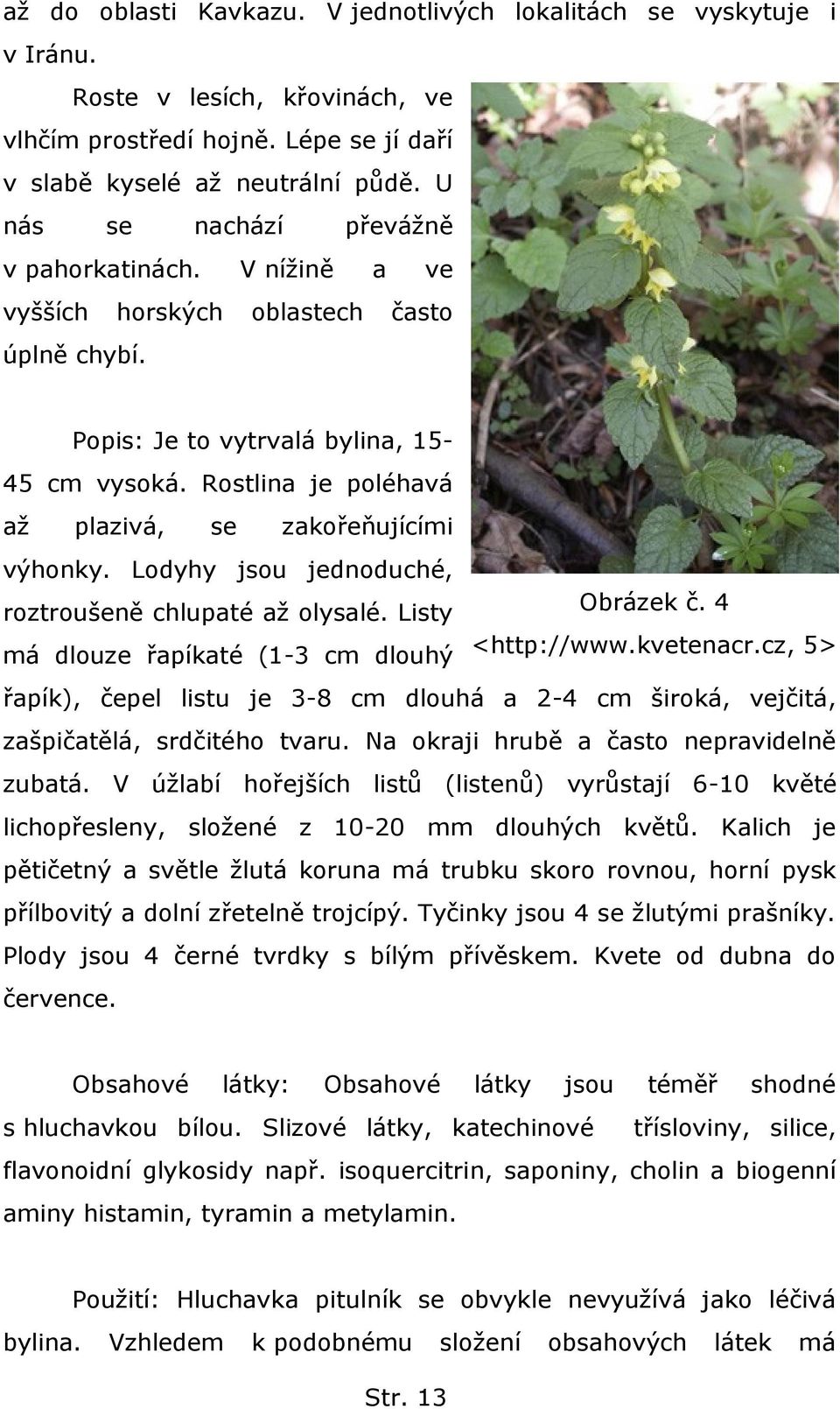 Rostlina je poléhavá aţ plazivá, se zakořeňujícími výhonky. Lodyhy jsou jednoduché, roztroušeně chlupaté aţ olysalé. Listy Obrázek č. 4 má dlouze řapíkaté (1-3 cm dlouhý <http://www.kvetenacr.