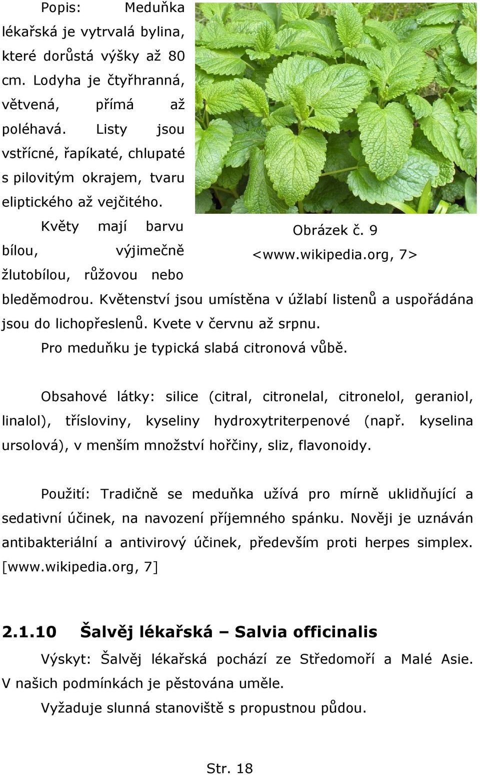 Květenství jsou umístěna v úţlabí listenů a uspořádána jsou do lichopřeslenů. Kvete v červnu aţ srpnu. Pro meduňku je typická slabá citronová vůbě.