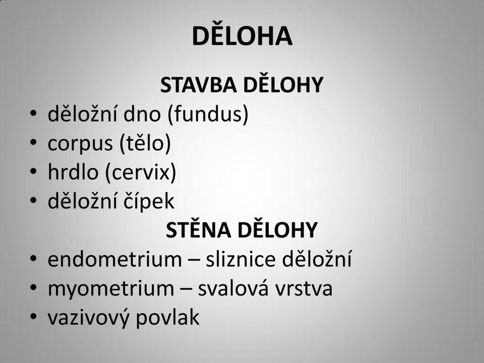 čípek STĚNA DĚLOHY endometrium sliznice