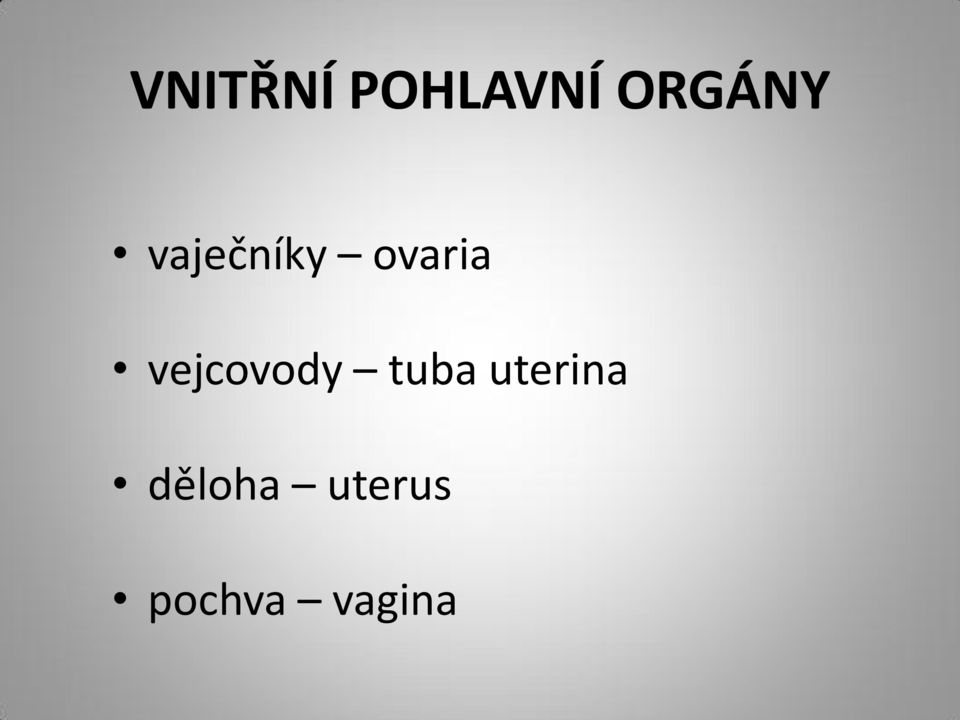 ovaria vejcovody tuba