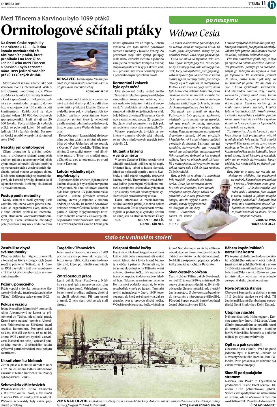 Mezinárodní sčítání, známé také pod zkratkou IWC (International Waterbird Census), koordinují v ČR Přírodovědecká fakulta Univerzity Karlovy a Česká společnost ornitologická.