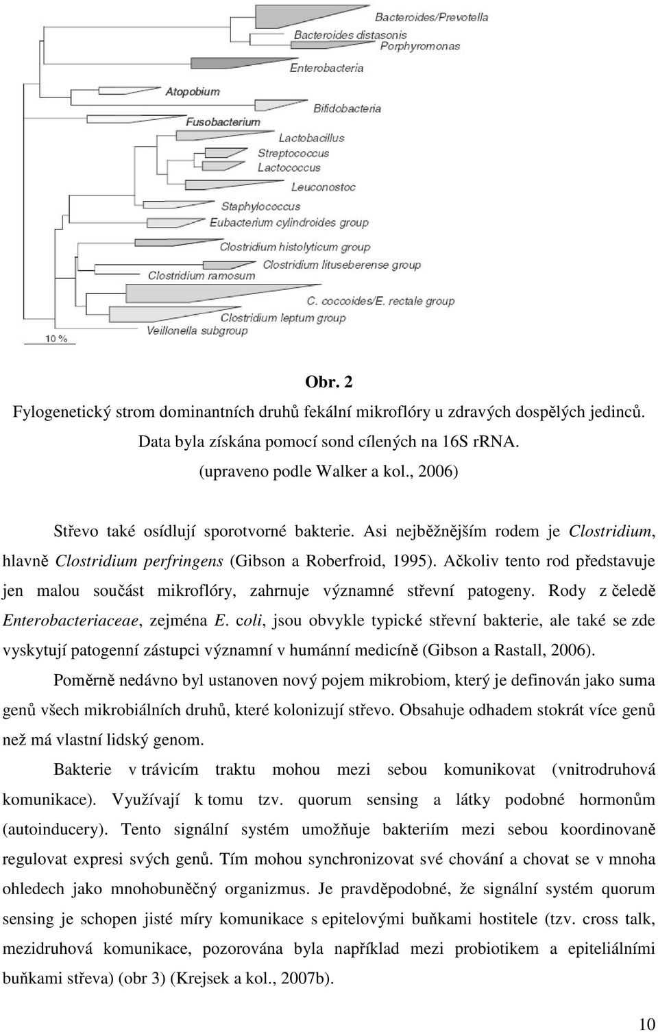 Ačkoliv tento rod představuje jen malou součást mikroflóry, zahrnuje významné střevní patogeny. Rody z čeledě Enterobacteriaceae, zejména E.