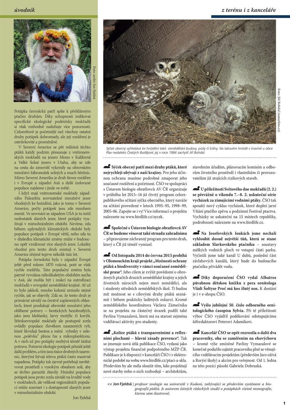 Celosvětově je početnější než všechny ostatní druhy potápek dohromady, ale její rozšíření je ostrůvkovité a proměnlivé.