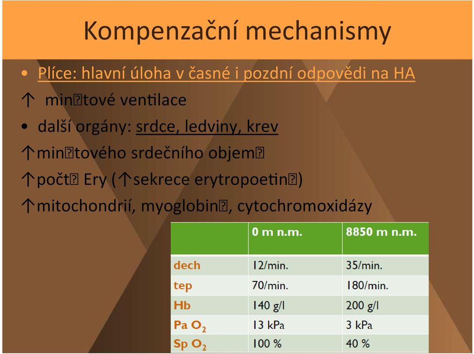 srdce, ledviny, krev minutového srdečního objemu počtu