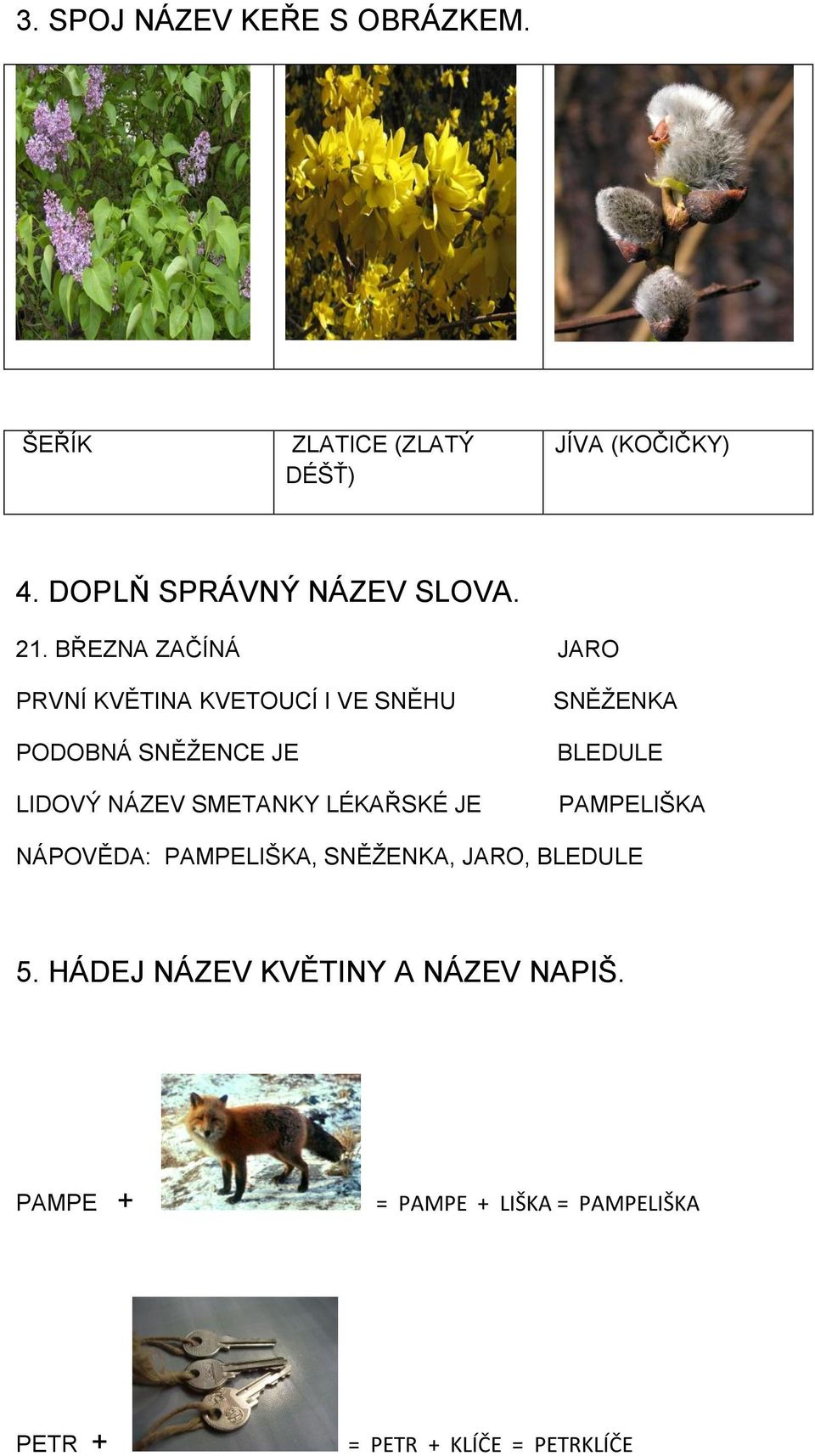 BŘEZNA ZAČÍNÁ JARO PRVNÍ KVĚTINA KVETOUCÍ I VE SNĚHU PODOBNÁ SNĚŢENCE JE LIDOVÝ NÁZEV SMETANKY