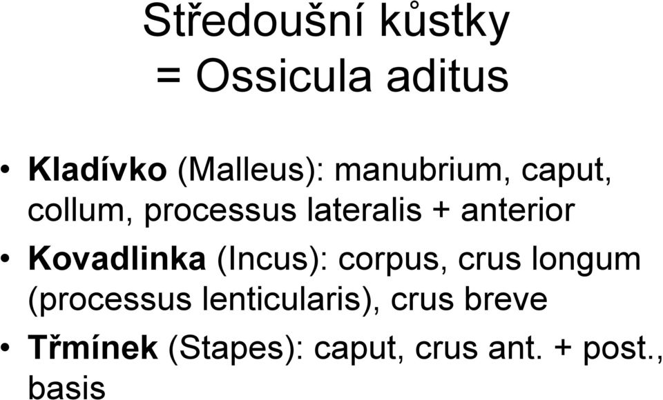 Kovadlinka (Incus): corpus, crus longum (processus