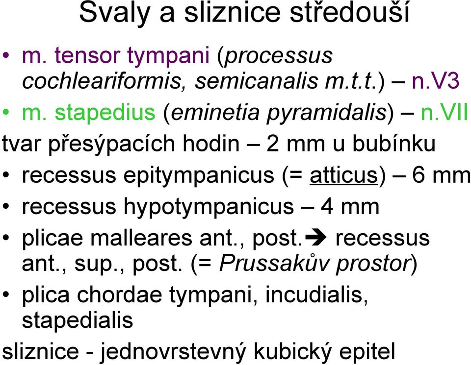 vii tvar přesýpacích hodin 2 mm u bubínku recessus epitympanicus (= atticus) 6 mm recessus