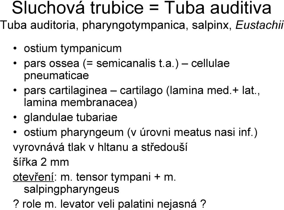 , lamina membranacea) glandulae tubariae ostium pharyngeum (v úrovni meatus nasi inf.