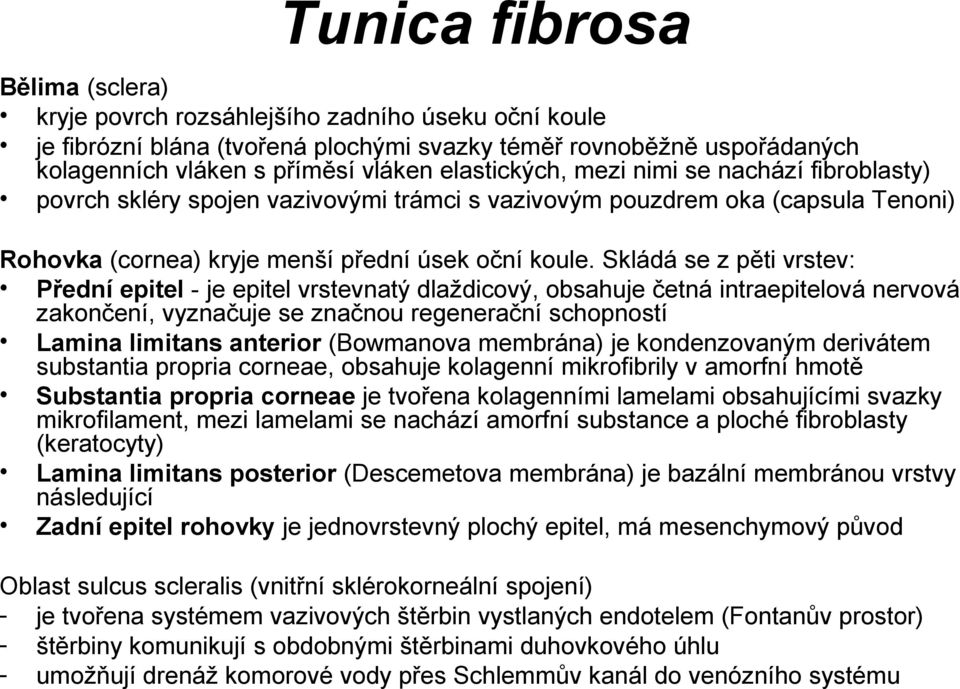 Skládá se z pěti vrstev: Přední epitel - je epitel vrstevnatý dlaždicový, obsahuje četná intraepitelová nervová zakončení, vyznačuje se značnou regenerační schopností Lamina limitans anterior