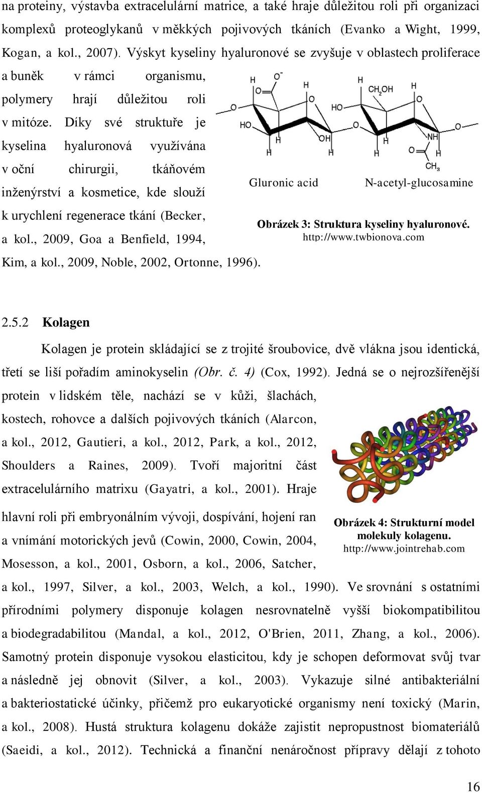 Díky své struktuře je kyselina hyaluronová využívána v oční chirurgii, tkáňovém inženýrství a kosmetice, kde slouží k urychlení regenerace tkání (Becker, a kol.