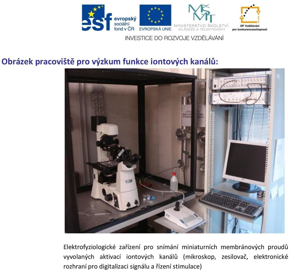 membránových proudů vyvolaných aktivací iontových kanálů