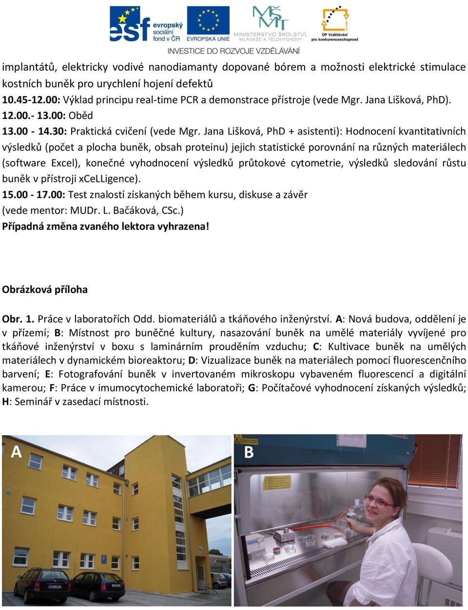 Jana Lišková, PhD + asistenti): Hodnocení kvantitativních výsledků (počet a plocha buněk, obsah proteinu) jejich statistické porovnání na různých materiálech (software Excel), konečné vyhodnocení