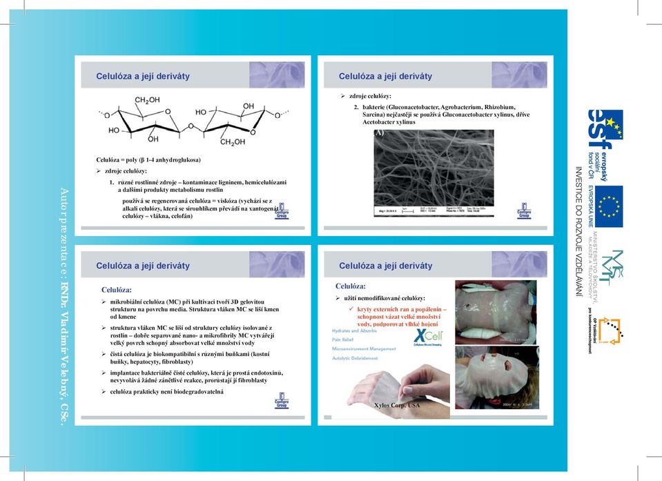 r zné rostlinné zdroje kontaminace ligninem, hemicelulózami a dalšími produkty metabolismu rostlin alkali celulózy, se sirouhlíkem p na Celulóza: mikrobiální celulóza (MC) p i kultivaci tvo í 3D