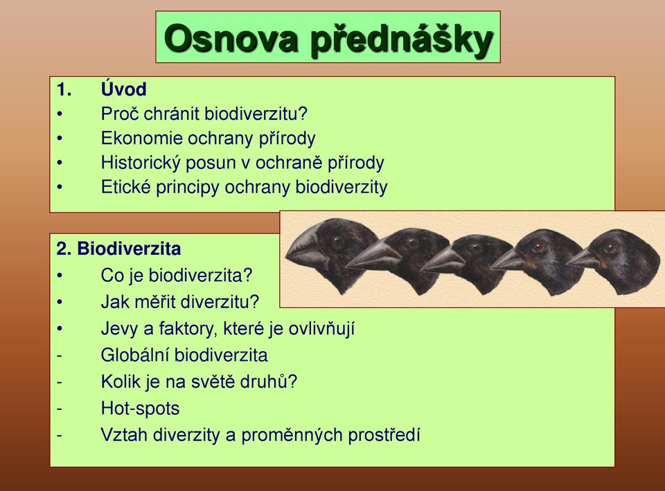 biodiverzity 2. Biodiverzita Co je biodiverzita? Jak měřit diverzitu?