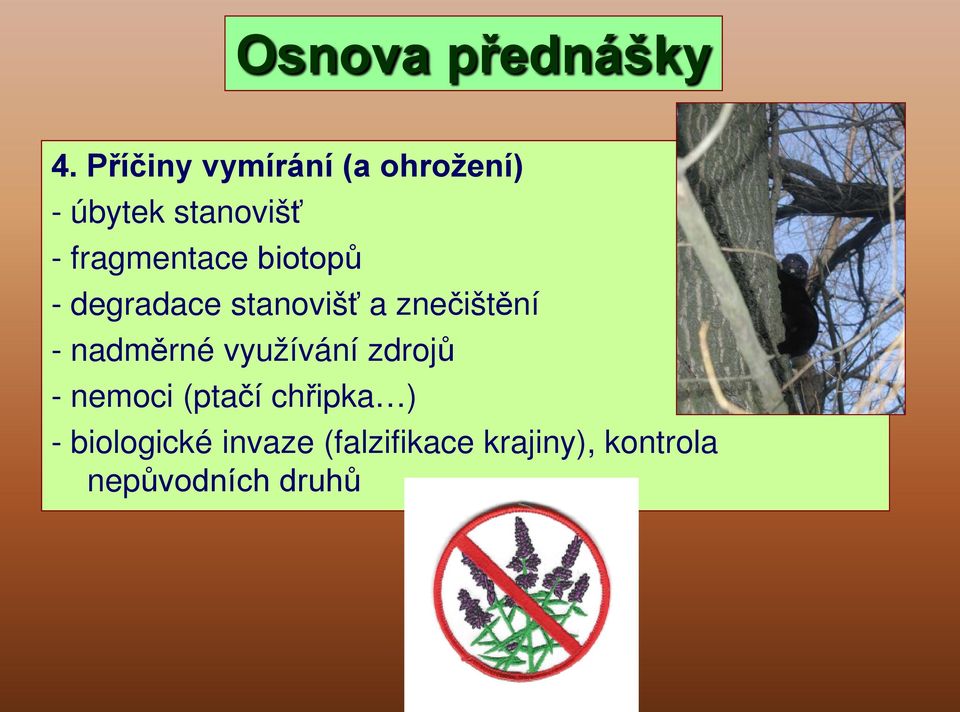biotopů - degradace stanovišť a znečištění - nadměrné