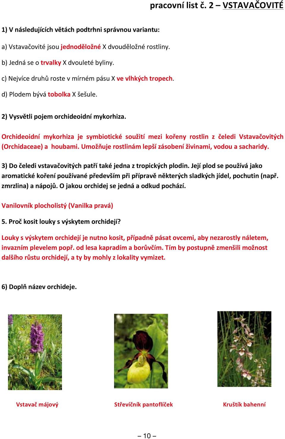 Orchideoidní mykorhiza je symbiotické soužití mezi kořeny rostlin z čeledi Vstavačovitých (Orchidaceae) a houbami. Umožňuje rostlinám lepší zásobení živinami, vodou a sacharidy.