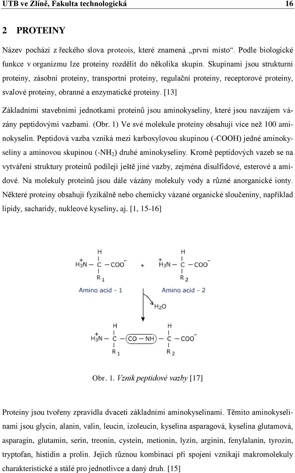 [13] Základními stavebními jednotkami proteinů jsou aminokyseliny, které jsou navzájem vázány peptidovými vazbami. (Obr. 1) Ve své molekule proteiny obsahují více neţ 100 aminokyselin.
