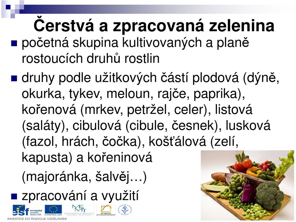 kořenová (mrkev, petržel, celer), listová (saláty), cibulová (cibule, česnek), lusková