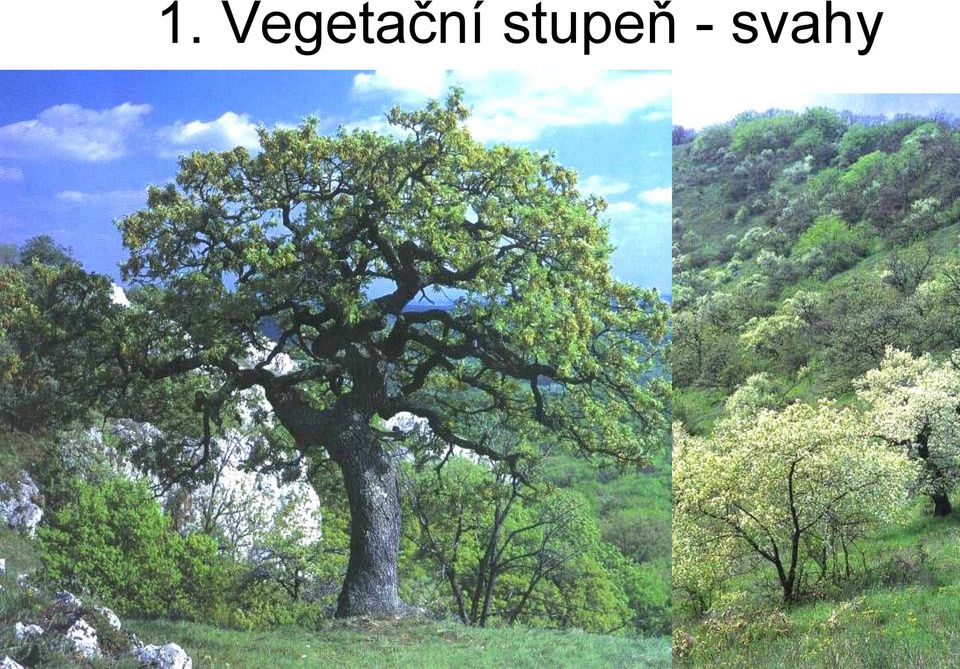stupeň -