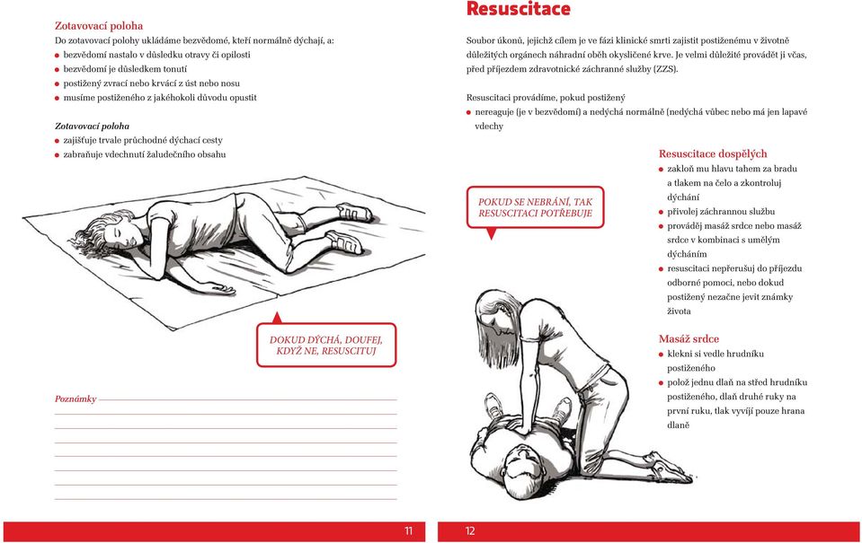 ve fázi klinické smrti zajistit postiženému v životně důležitých orgánech náhradní oběh okysličené krve. Je velmi důležité provádět ji včas, před příjezdem zdravotnické záchranné služby (ZZS).