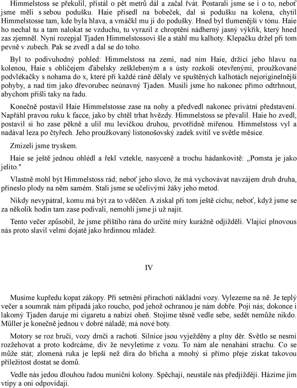 Haie ho nechal tu a tam nalokat se vzduchu, tu vyrazil z chroptění nádherný jasný výkřik, který hned zas zjemněl. Nyní rozepjal Tjaden Himmelstossovi šle a stáhl mu kalhoty.