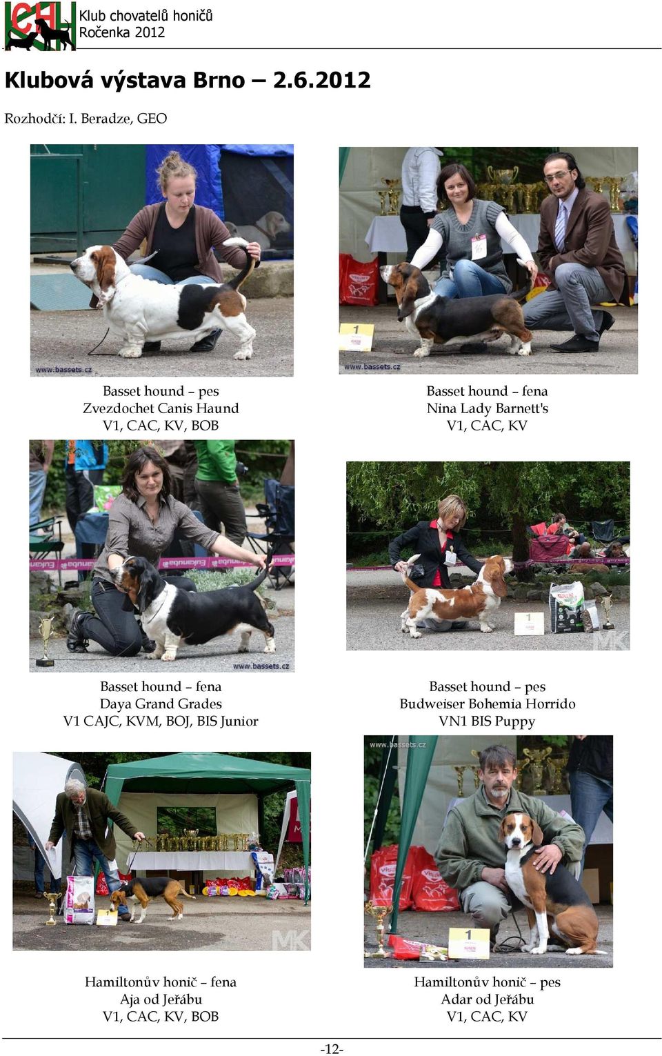 Barnett's V1, CAC, KV Basset hound fena Daya Grand Grades V1 CAJC, KVM, BOJ, BIS Junior Basset
