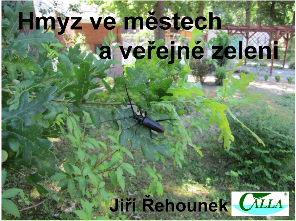 veřejné