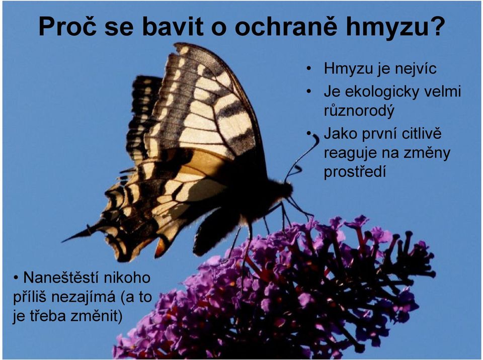 různorodý Jako první citlivě reaguje na