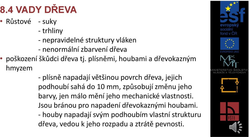 plísněmi, houbami a dřevokazným hmyzem - plísně napadají většinou povrch dřeva, jejich podhoubí sahá do 10 mm,