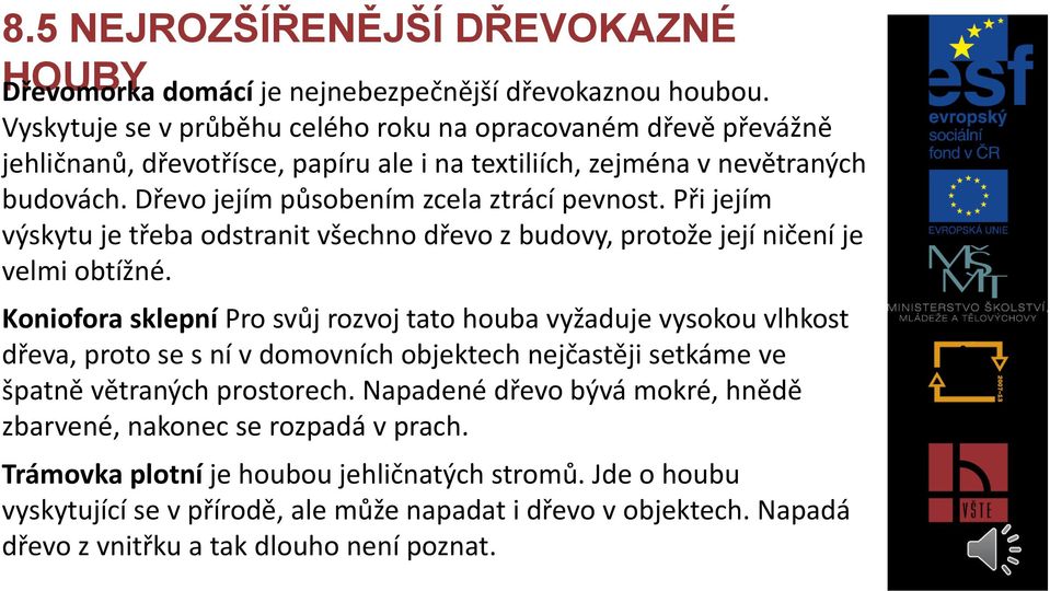 Při jejím výskytu je třeba odstranit všechno dřevo z budovy, protože její ničení je velmi obtížné.