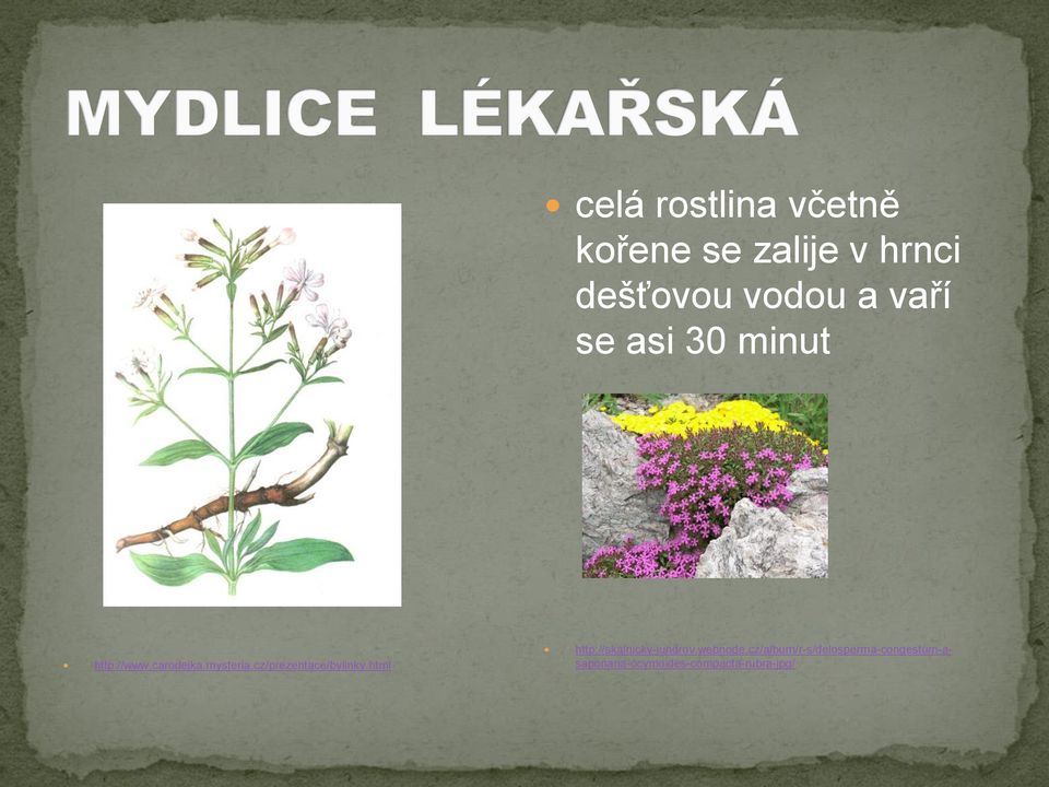 cz/prezentace/bylinky.html http://skalnicky-jundrov.webnode.