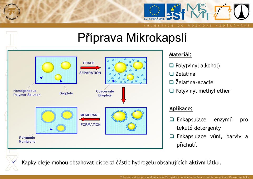 MEMBRANE FORMATION Enkapsulace enzymů pro tekuté detergenty Polymeric Membrane Enkapsulace