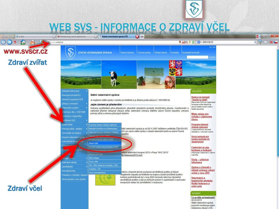 ZDRAVÍ VČEL www.