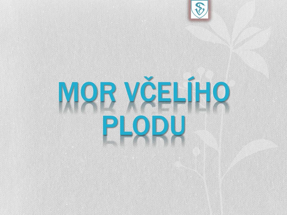 PLODU