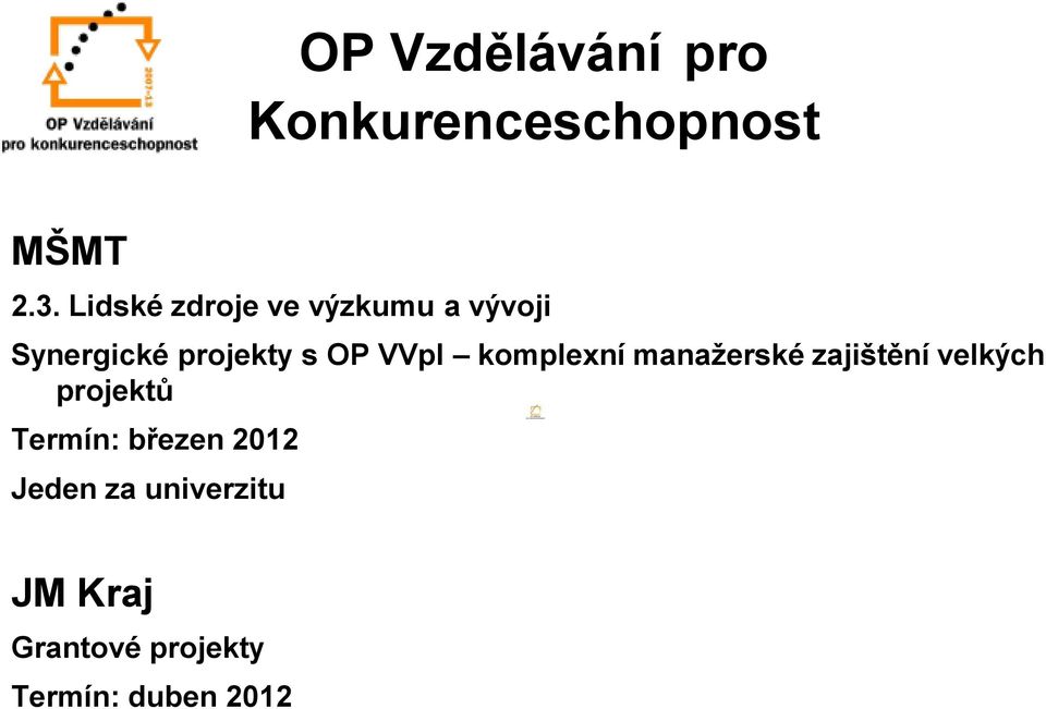 VVpI komplexní manažerské zajištění velkých projektů Termín: