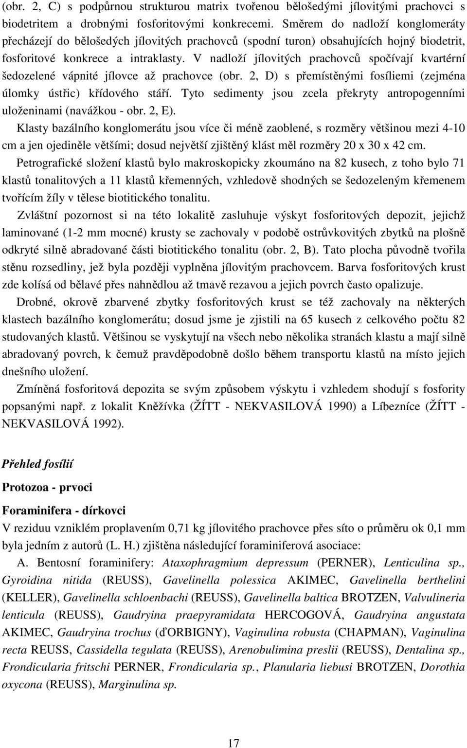 V nadloží jílovitých prachovců spočívají kvartérní šedozelené vápnité jílovce až prachovce (obr. 2, D) s přemístěnými fosíliemi (zejména úlomky ústřic) křídového stáří.