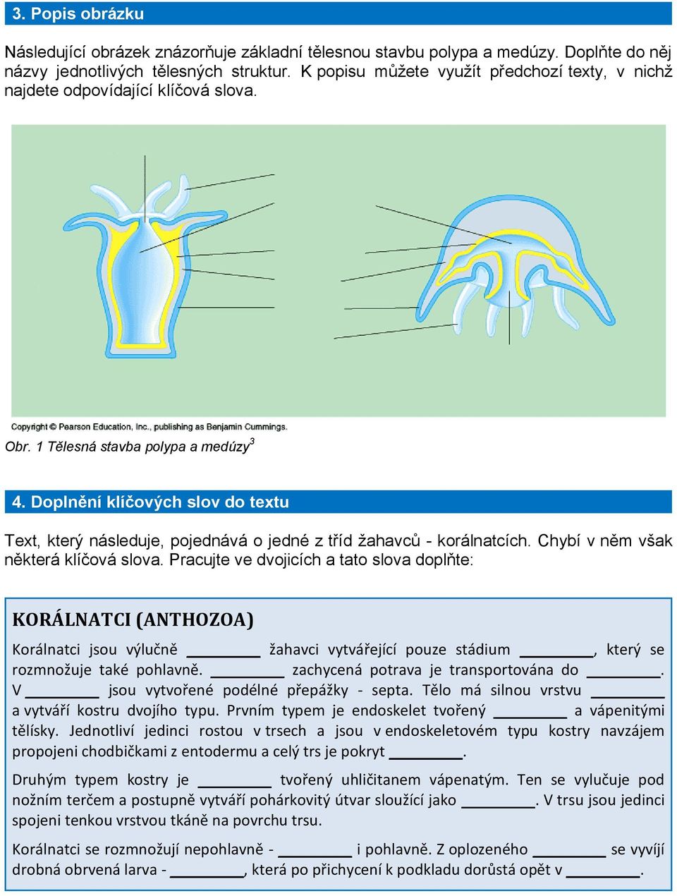 Doplnění klíčových slov do textu Text, který následuje, pojednává o jedné z tříd žahavců - korálnatcích. Chybí v něm však některá klíčová slova.