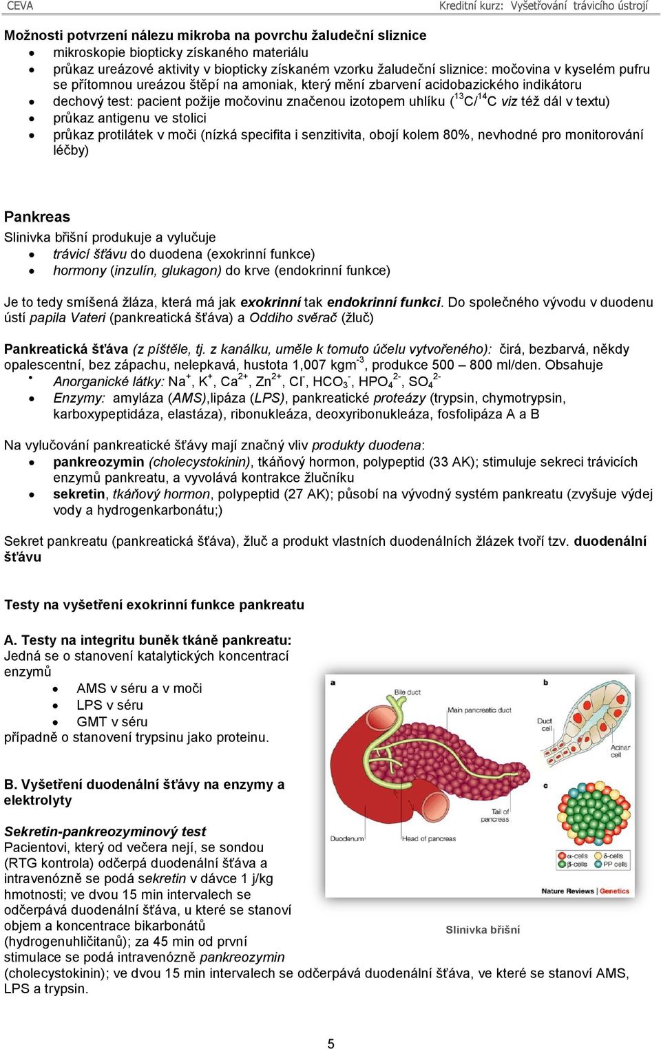 antigenu ve stolici průkaz protilátek v moči (nízká specifita i senzitivita, obojí kolem 80%, nevhodné pro monitorování léčby) Pankreas Slinivka břišní produkuje a vylučuje trávicí šťávu do duodena