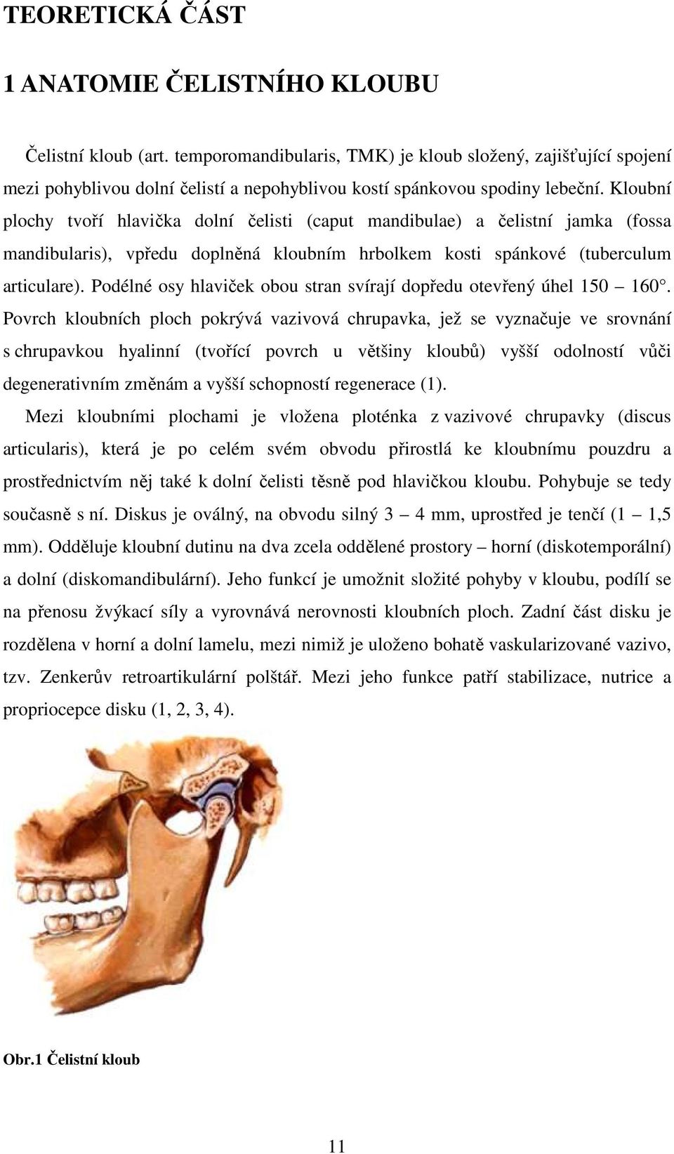 Kloubní plochy tvoří hlavička dolní čelisti (caput mandibulae) a čelistní jamka (fossa mandibularis), vpředu doplněná kloubním hrbolkem kosti spánkové (tuberculum articulare).