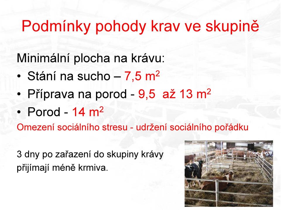 Porod - 14 m 2 Omezení sociálního stresu - udržení