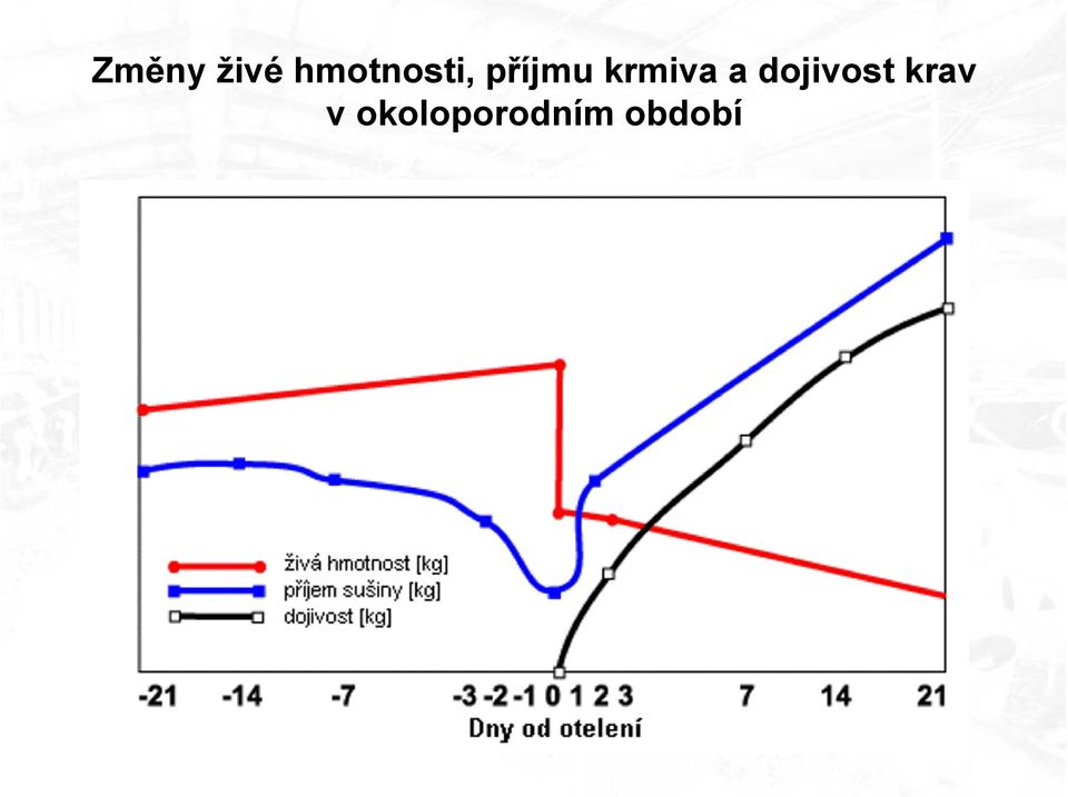 krmiva a dojivost